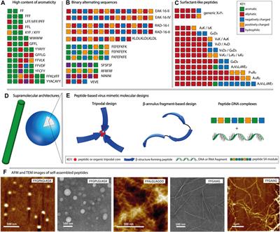 Exploiting Peptide Self-Assembly for the Development of Minimalistic Viral Mimetics